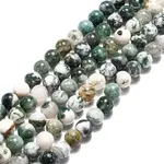 Natural Tree Agate Beads Strands