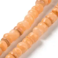 Natural Cultured Freshwater Shell Beads Strands