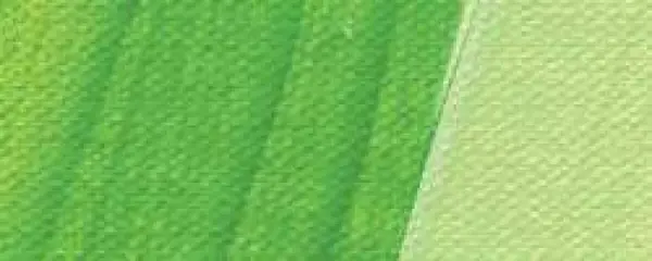 Tuš Schmincke Akademie 50ml - 557 may green