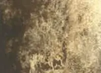 Akvarelová barva DS 15ml – 161 Tiger's Eye Genuine