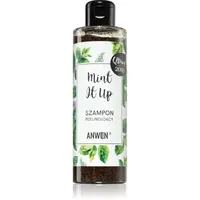 Anwen Mint It Up exfoliačný šampón 200 ml