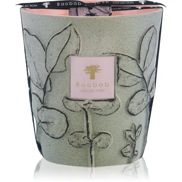 Baobab Collection Folia Maquis vonná sviečka 16 cm