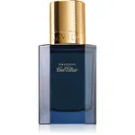 Davidoff Cool Elixir Parfum Intense parfém pre mužov 30 ml