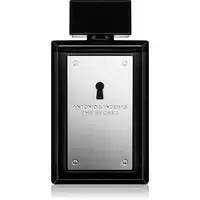 Banderas The Secret toaletná voda pre mužov 100 ml