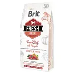 BRIT Fresh Beef with Pumpkin Puppy Large Bones & Joints granuly pre šteňatá, Hmotnosť balenia: 2,5 kg
