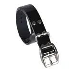 Plastový obojek Reedog 2,5 cm | P47883