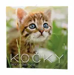 Kočky 2026 - nástěnný kalendář