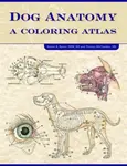 Dog Anatomy - Robert  Kainer, Thomas O., MS  McCraken