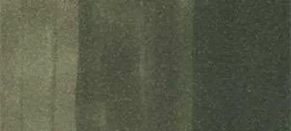 Copic Ciao marker – BG96 Bush