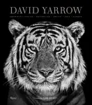 David Yarrow Photography - Brady Tom, David Yarrow