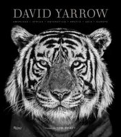David Yarrow Photography - Brady Tom, David Yarrow