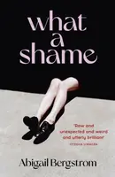 What a Shame - Abigail Bergstrom