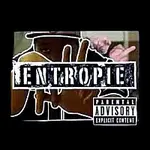 Robin Roll$ – Entropie