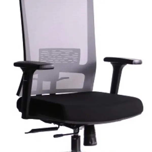 SEGO  	Ergonomická kancelářská židle TECTON šedo-černá – pro dlouhé sezení 8 h