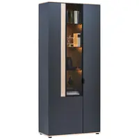 Dieter Knoll VITRÍNA, antracitová, barvy dubu, 93,2/213,1/42 cm