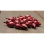 GardenSeed Premium Cibuľa sadzačka Red Karmen 300 g