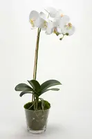 Umělá rostlina v květináči home & lifestyle 63.5 cm