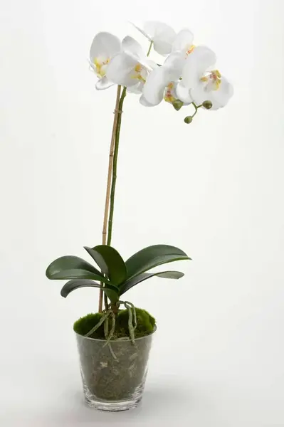 Umělá rostlina v květináči home & lifestyle 63.5 cm