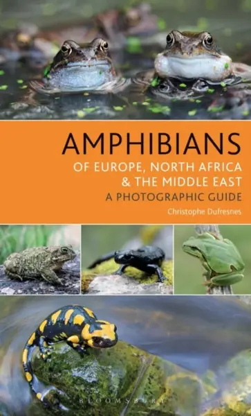 Amphibians of Europe, North Africa and the Middle East - Dufresnes Christophe