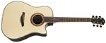 Furch Red Dc-LR CNR Active