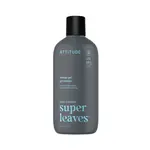 ATTITUDE Pánský sprchový gel Eukalyptus & Šalvěj 415 ml
