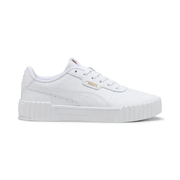 Puma Carina 3.0 38,5