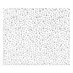 12Pcs Glass Hotfix Rhinestone