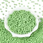 Baking Paint Pearlized Glass Seed Beads