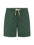 Shiwi Plavecké šortky 'Mike'  modrá / tmavozelená