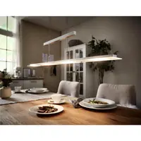 ZÁVĚSNÉ LED SVÍTIDLO, 88/9/80-150 cm