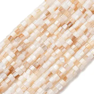 Natural Freshwater Shell Beads Strands