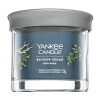 Yankee Candle Tumbler Bayside Cedar 122 g