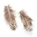 Chicken Feather Costume Accessories