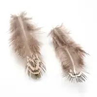 Chicken Feather Costume Accessories