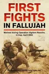 First Fights in Fallujah - David Kelly