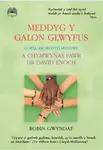 Meddyg y Galon Glwyfus - Gofal am Iechyd Meddwl a Chymwynas Fawr Dr David Enoch - Robin Gwyndaf