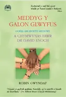 Meddyg y Galon Glwyfus - Gofal am Iechyd Meddwl a Chymwynas Fawr Dr David Enoch - Robin Gwyndaf