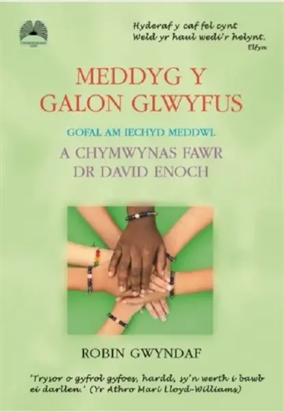 Meddyg y Galon Glwyfus - Gofal am Iechyd Meddwl a Chymwynas Fawr Dr David Enoch - Robin Gwyndaf