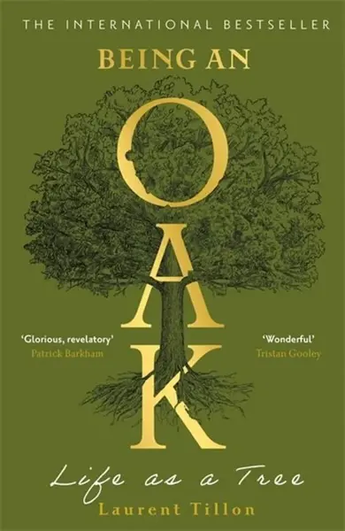 Being an Oak - Laurent Tillon