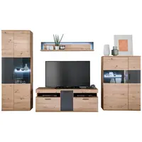 Livetastic OBÝVACÍ STĚNA, antracitová, čiré, barvy dubu