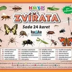 Sada 24 karet Zvířata hmyz - Petr Kupka