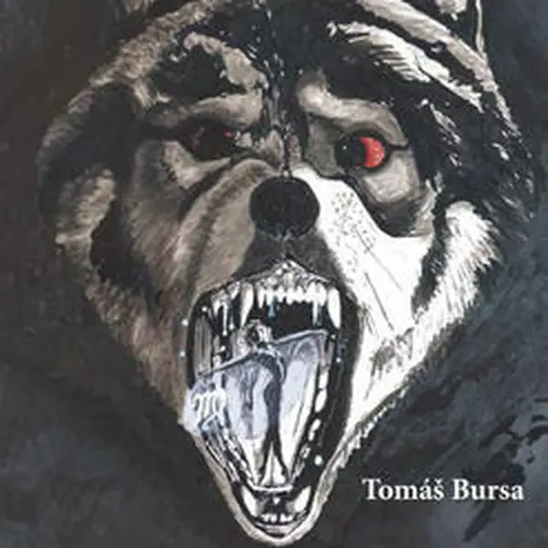 Poselství z druhého břehu - Tomáš Bursa