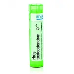 Rhus toxicodendron 5CH granule 4g