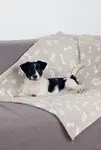Deka pro psy Kenny béžová a kostičky 100x75cm Trixie