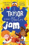 Y Trysor o dan y Ffatri Jam - Chrissie Sains