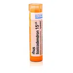Rhus toxicodendron 15CH granule 4g