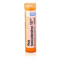 Rhus toxicodendron 15CH granule 4g