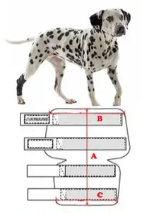 Bandáž rehab na hlezno pro psa Kruuse XL