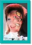 Mick Rock. The Rise of David Bowie. 1972â€“1973 - Barney Hoskyns, Michael Bracewell