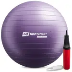 Gymnastický míč fitness 65cm s pumpou - fialový